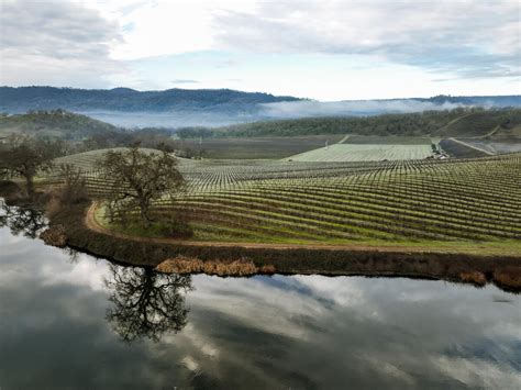 Napa Valley’s St. Supery, owned by Chanel, produces .